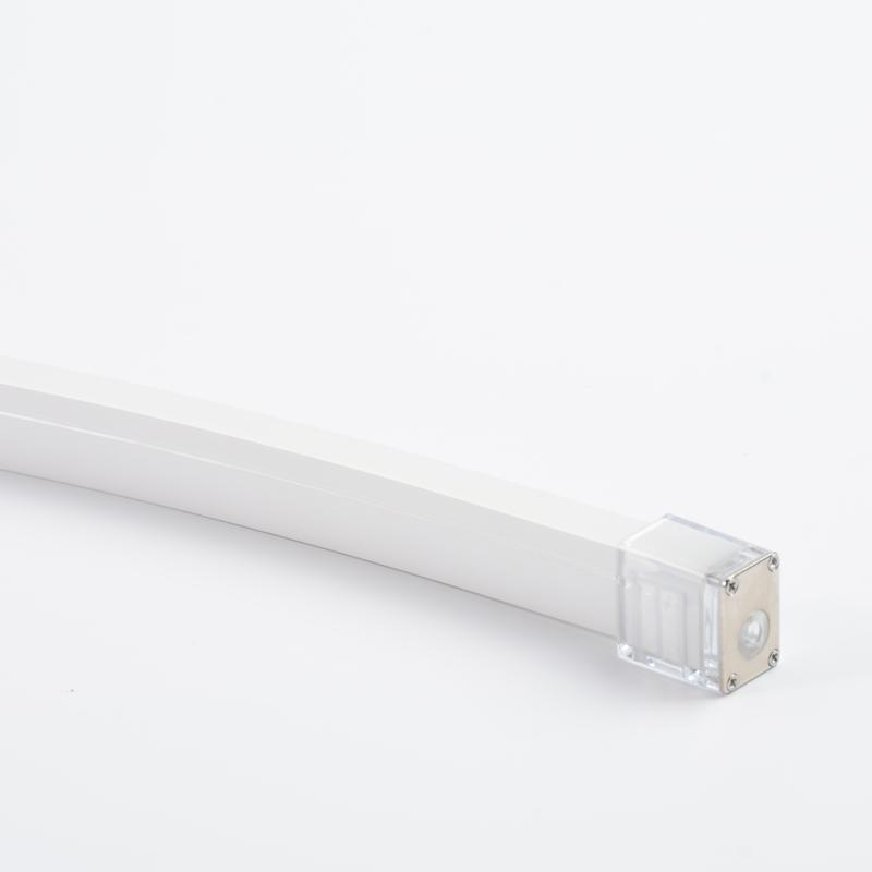 Luz de neón de silicona 1220 ERP